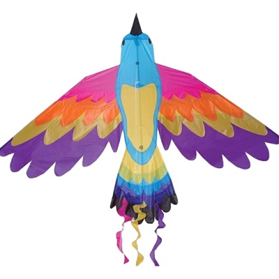 Kite - A Show Stopping Colorful Bird 