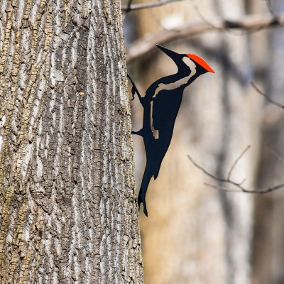 Woodpecker Bird - Metal Garden Yard Art 