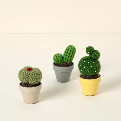  Crochet Cactus with Pot