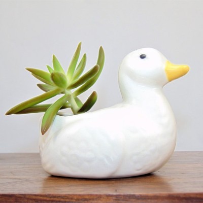 Cute Duck Succulent Plant Holder